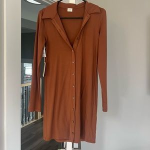 Aritzia brown button front dress